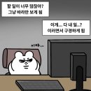 예스 운동화 빨래방 | 한파, 24 3-5