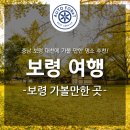 주식회사 상화원 | [포레 여행] 충남 보령 대천 가볼만한 곳 : 청소역, 청라마을, 상화원, 개화예술공원, 스카이바이크