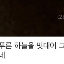 네일쏘영