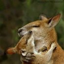 포옹-HUG 이미지