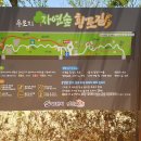 우로지 자연숲 황토길 이미지