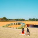 동학농민혁명기념관 이미지