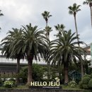 카르페디엠 | [travel] 김녕해변 세기알해변 근처 깨끗한 감성숙소 카르페디엠 내돈내산 이용후기