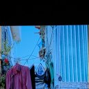 누리상회 이미지