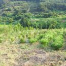 상월농장 이미지