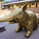 지리산고원흑돼지 이미지