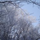 2012년 1월 8일(일) 신년 일요산행 가리왕산 눈꽃산행안내/좌석표/탑승지 이미지