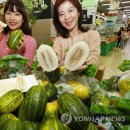 모텔파파야 이미지