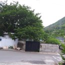 송원공인중개사사무소 이미지