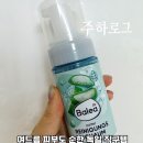 독일알로에 | [주하 Pick]독일 직구 폼클렌징 | 여드름 피부도 순하게 세정되는 발레아 알로에 후기