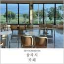 전주근교 솔라시카페 만경강 뷰 조용한 카페