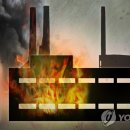 이태호자동차병원 이미지