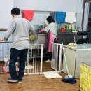 랄라 강아지 놀이방&호텔 | [역곡 애견호텔 후기] 추석 연휴에도 바쁜 엘제이펫 놀이방｜역곡 강아지 돌봄 추천