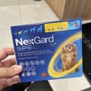 사상동물약국 이미지