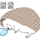 와우펫앤쥬 양산점 이미지