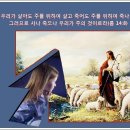 (주)처음
