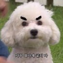 모****** 네이버블로그