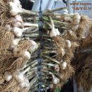 아유란농원 이미지