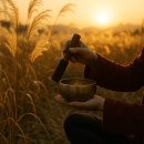 붕카센타 | 서울억새축제 2025 완벽 가이드 | 일정·예약·포토존·교통정보 총정리