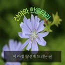 이 아침 당신께 드리는 글 / 예쁜 무화과 이미지