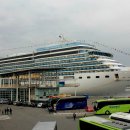 루미로사 이미지