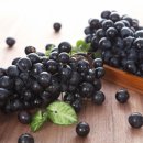 대웅흑염소 이미지