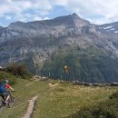 지스크린 이미지