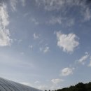 김영희농장 이미지