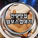 맘모스껍데기 이미지