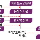 팜가이아 이미지