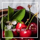 해빙데이 이미지