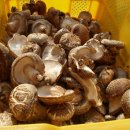 표고버섯재배-전남장성,표고버섯,종균,백화고,천백고,저온성 이미지