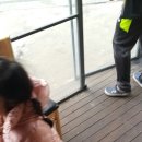 사이코우 이미지