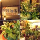 영신상가 이미지