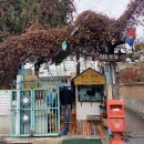 또오실마을 | 전주 여행 가볼 만한 곳 전주 한옥마을 추억의 7080 전주난장 내돈내산 다녀온 후기