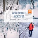 제37차)2월17일(셋째토)블100대+태백산 눈꽃산행 좌석방공지 이미지