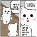 진도명품관 | 25년 4월 일상로그