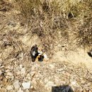 한박농원 이미지