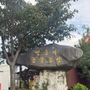 쌍둥이농장 | 강릉 아이랑 가볼만한 곳 추천｜강릉쌍둥이동물농장 입장료,먹이체험 후기