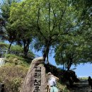 연지근린공원 - 2434 | 김해 분성산 천문대 등산 초보자도 가기좋은 산 황톳길 맨발