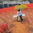 정원시장 | 제주 월평꽃시장 정원 산책 후기｜봄 포토존 가득한 조용한 힐링 공간