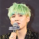 슈가그린헤어 뉴스엔