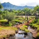 우림목장(2) 이미지