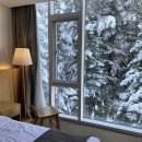 양양 오션비치 이미지