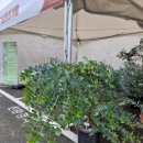 늘봄카센타 이미지