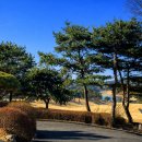 그린밸리가든 | 경기도 여주골프 제니의 골프여행기 "스카이밸리CC"