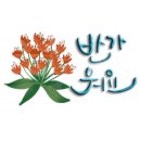 (시니어)스마트폰동영상제작 이미지