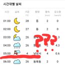 날씨 체크하다 당황했다.... 갑자기 눈??? 이미지