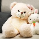 인형뽑기 이미지