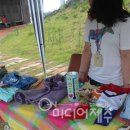 참사랑마켓 네이버블로그